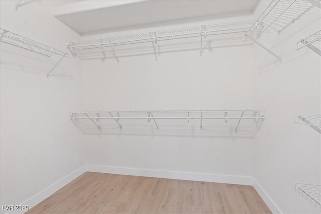 spacious closet featuring light wood finished floors