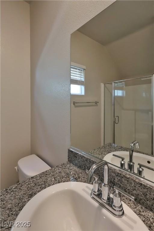 bathroom with vanity, a stall shower, and toilet