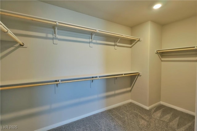 walk in closet with dark carpet