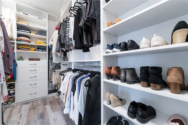 spacious closet featuring wood finished floors