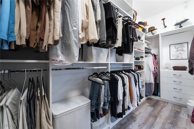 walk in closet with wood finished floors
