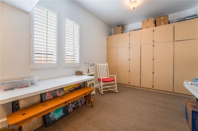 living area featuring carpet flooring