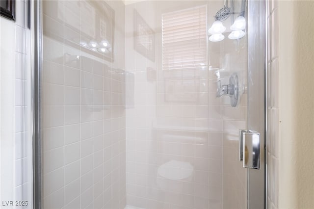 bathroom featuring a shower stall