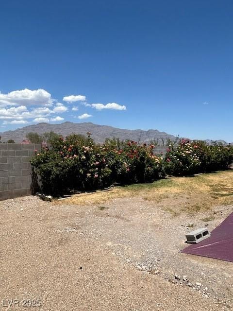 7650 Butterscotch Ct, Las Vegas, NV 89131 - mountain view