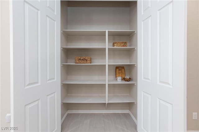 10251 Tiger Milkweed St, Las Vegas, NV 89141 - view of pantry