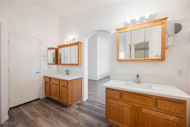 bathroom featuring two vanities, a sink, and wood finished floors