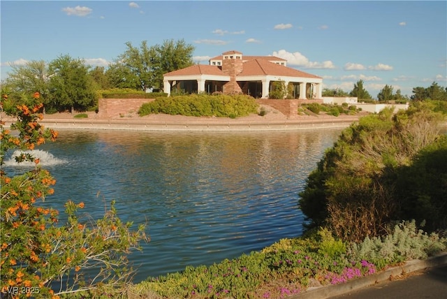 2925 Big Green Ln, Las Vegas, NV 89134 - water view