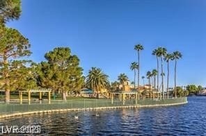 property view of water