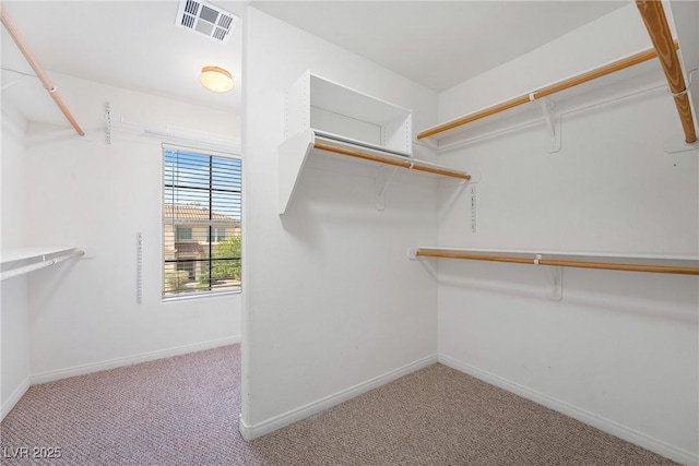 248 Hyssop Ct, Henderson, NV 89015 - spacious closet with carpet floors and visible vents