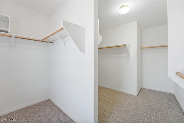 248 Hyssop Ct, Henderson, NV 89015 - spacious closet with carpet