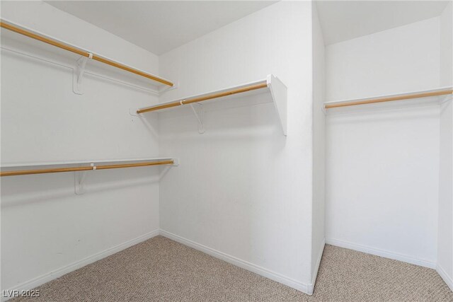 248 Hyssop Ct, Henderson, NV 89015 - spacious closet featuring carpet flooring