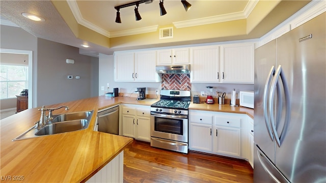 6901 Cobre Azul Ave Unit 202, Las Vegas, NV 89108 - kitchen with appliances with stainless steel finishes, under cabinet range hood, a sink, crown molding, and a peninsula