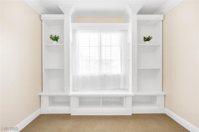 mudroom with carpet floors, baseboards, and crown molding