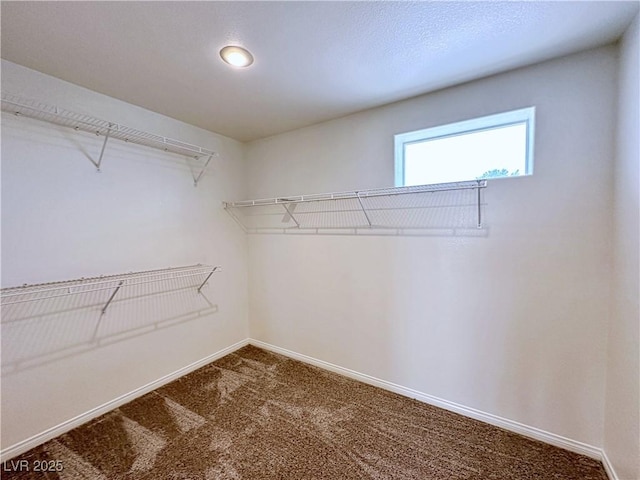 5704 Burdel St, Las Vegas, NV 89149 - spacious closet featuring dark carpet