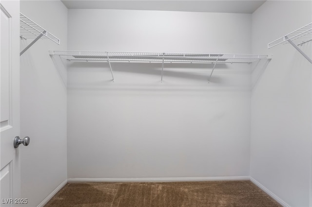 4436 Hatch Bend Ave, North Las Vegas, NV 89031 - spacious closet with carpet flooring