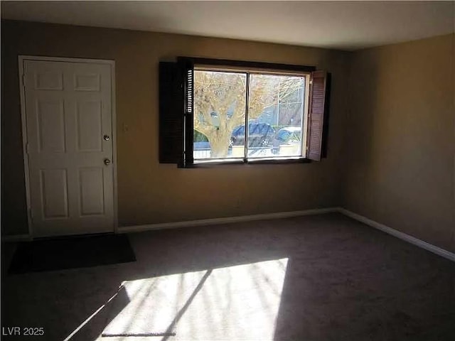 interior space featuring baseboards and carpet