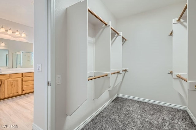walk in closet featuring light carpet