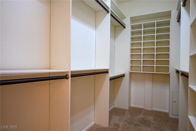 3278 Turning Bridge St, Las Vegas, NV 89135 - spacious closet featuring carpet