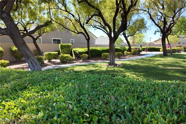 3278 Turning Bridge St, Las Vegas, NV 89135 - view of yard