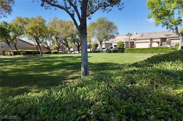 3278 Turning Bridge St, Las Vegas, NV 89135 - view of yard