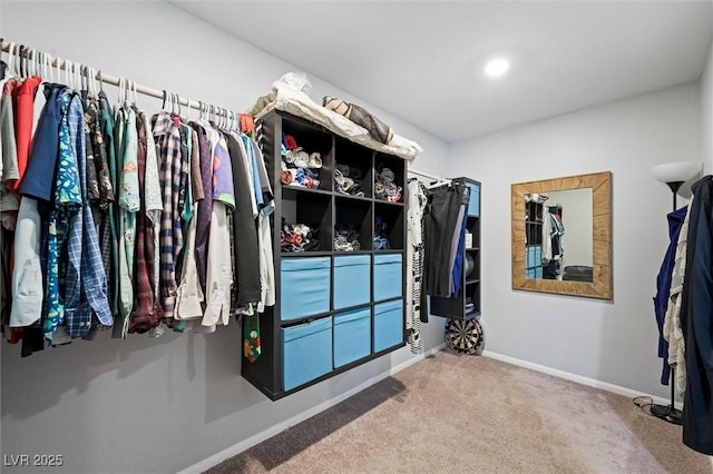 5631 Hill Cliff Ct, North Las Vegas, NV 89031 - spacious closet with carpet