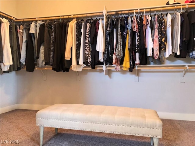 spacious closet with carpet floors