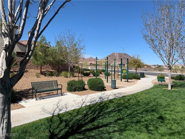 view of community featuring a lawn and playground community