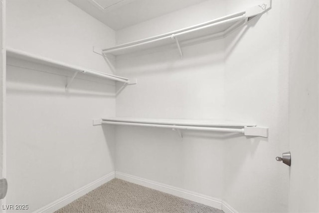 spacious closet featuring carpet flooring