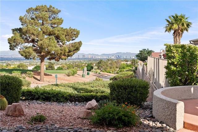 2742 Darby Falls Dr, Las Vegas, NV 89134 - view of yard featuring a mountain view