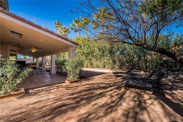 view of yard with a patio and ceiling fan