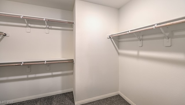 walk in closet featuring carpet