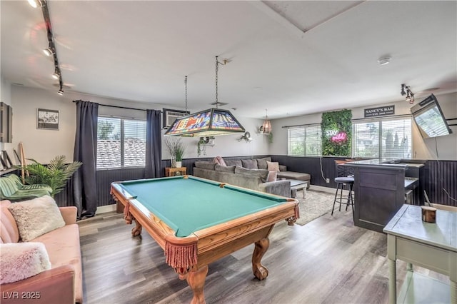recreation room with light wood-style flooring and a wealth of natural light
