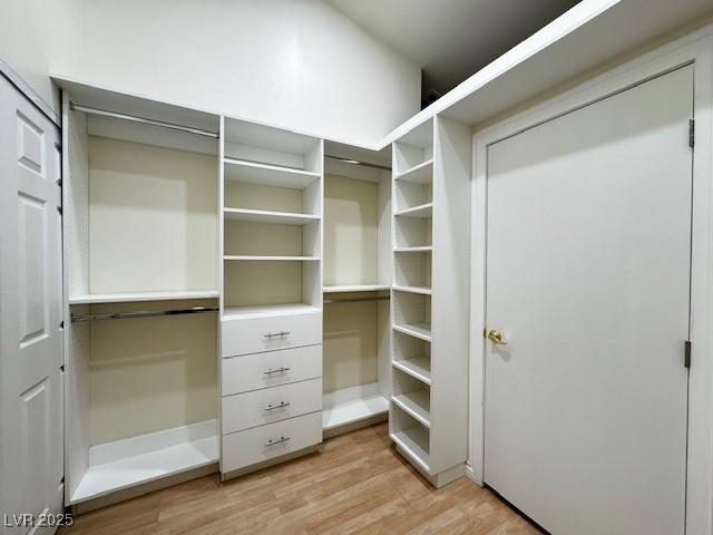 spacious closet featuring light wood finished floors
