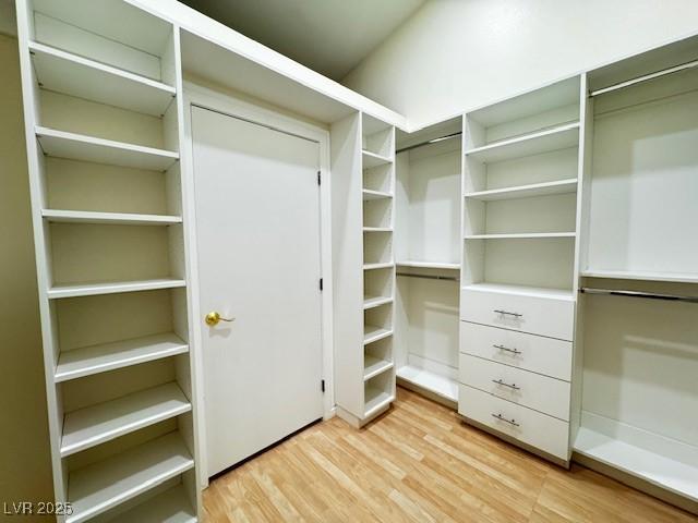 spacious closet featuring light wood-style flooring