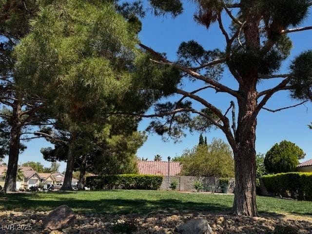 surrounding community featuring a lawn and fence