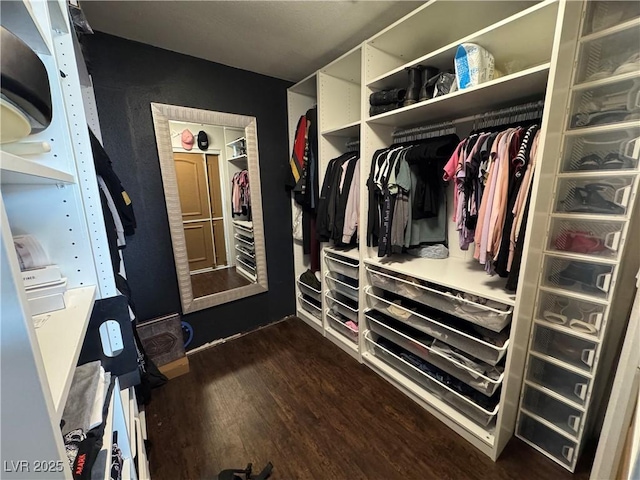 walk in closet featuring dark wood-style floors