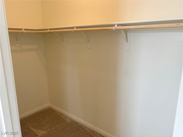 929 Hunter Shores Ave, North Las Vegas, NV 89084 - spacious closet featuring carpet