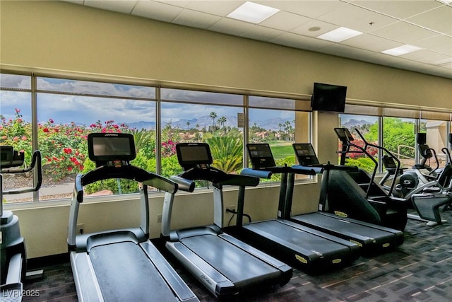 workout area featuring a paneled ceiling