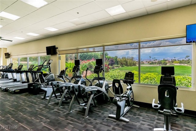 workout area featuring carpet flooring, a drop ceiling, and a wealth of natural light