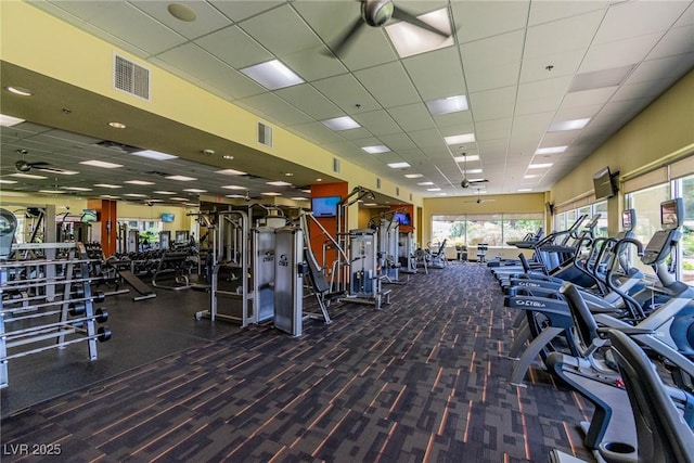exercise room featuring carpet floors, a drop ceiling, and visible vents