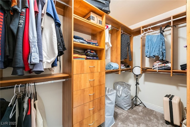 walk in closet featuring carpet