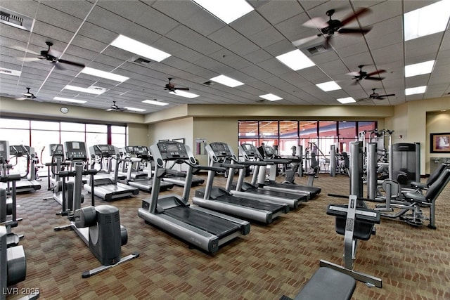 7908 House Sparrow St, North Las Vegas, NV 89084 - exercise room with ceiling fan, visible vents, a drop ceiling, and carpet