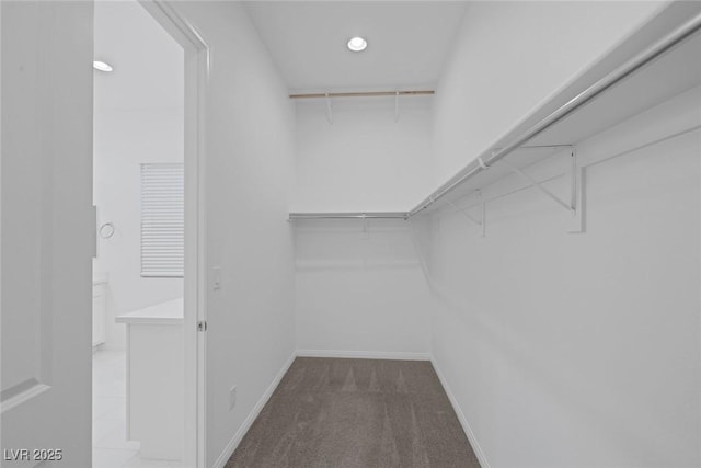 spacious closet featuring carpet flooring