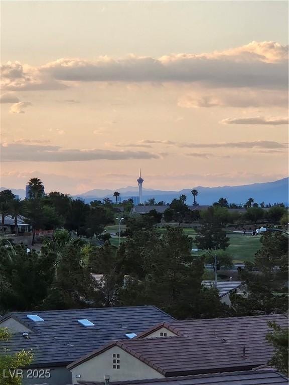 2110 King Mesa Dr, Henderson, NV 89012 - mountain view