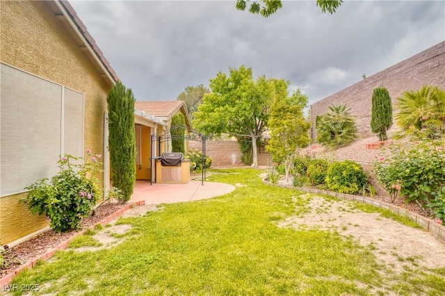 2383 Rainswept Ave, Henderson, NV 89052 - view of yard with a fenced backyard and a patio