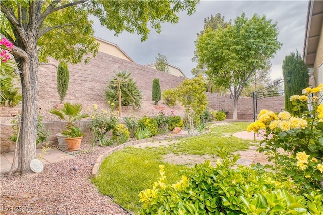 2383 Rainswept Ave, Henderson, NV 89052 - view of yard featuring a fenced backyard