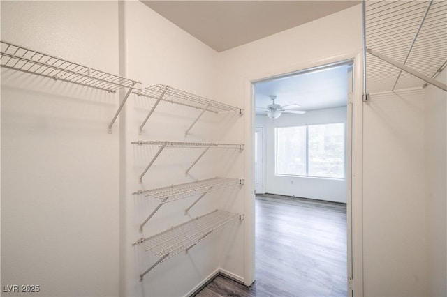 5710 E Tropicana Ave Unit 1017, Las Vegas, NV 89122 - walk in closet featuring dark wood finished floors and ceiling fan