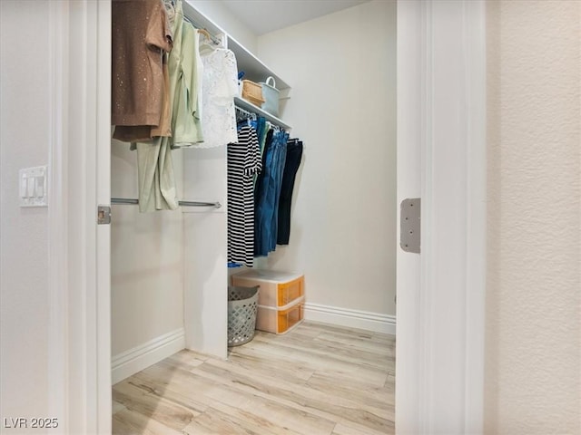 walk in closet featuring wood finished floors