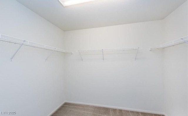 walk in closet with carpet