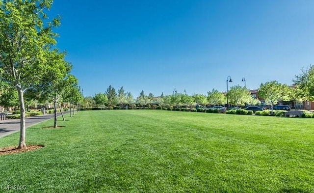 view of home's community featuring a yard